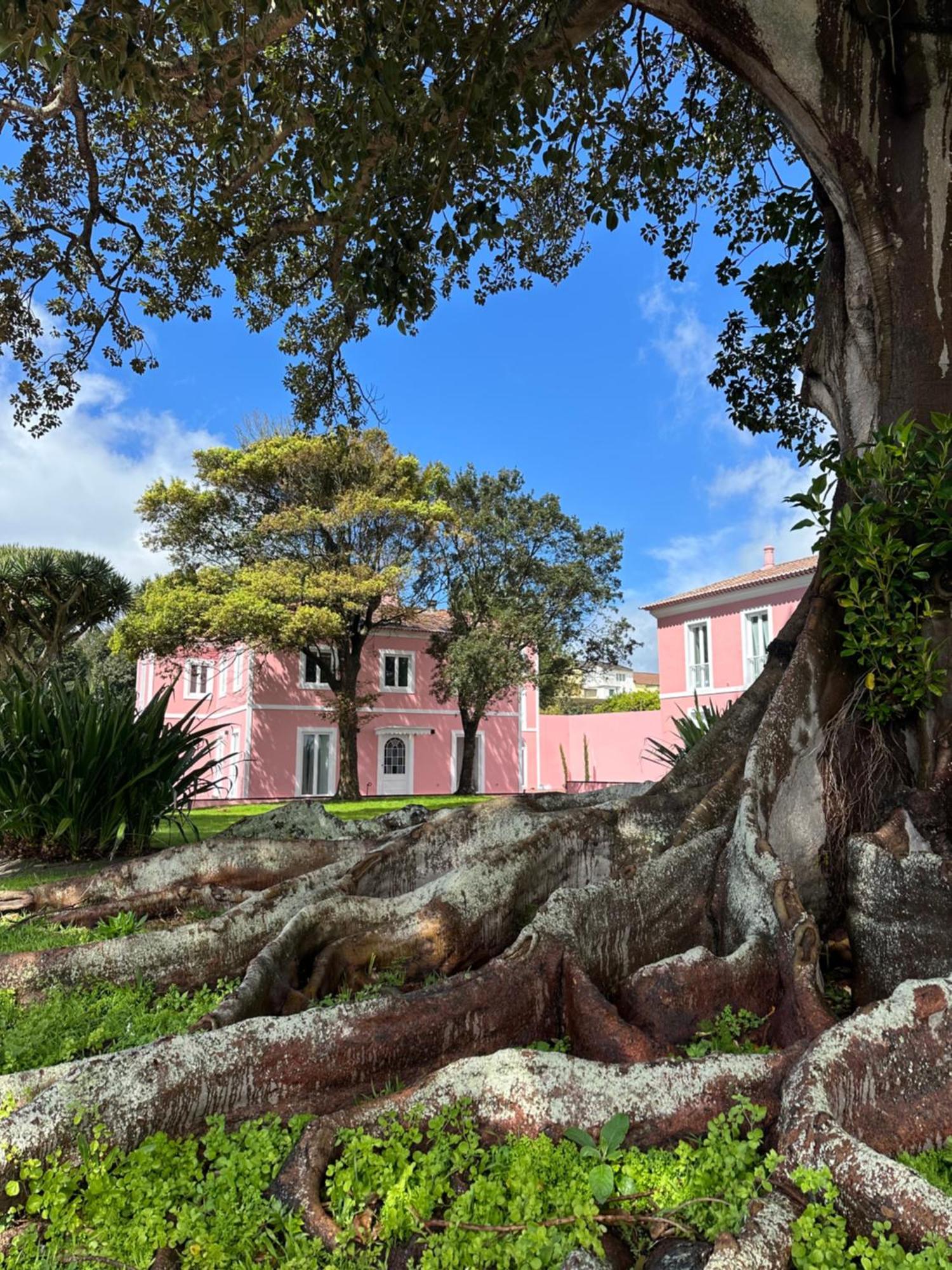 Ponta Delgada Solar Dos Cantos Botanic House & Garden מראה חיצוני תמונה