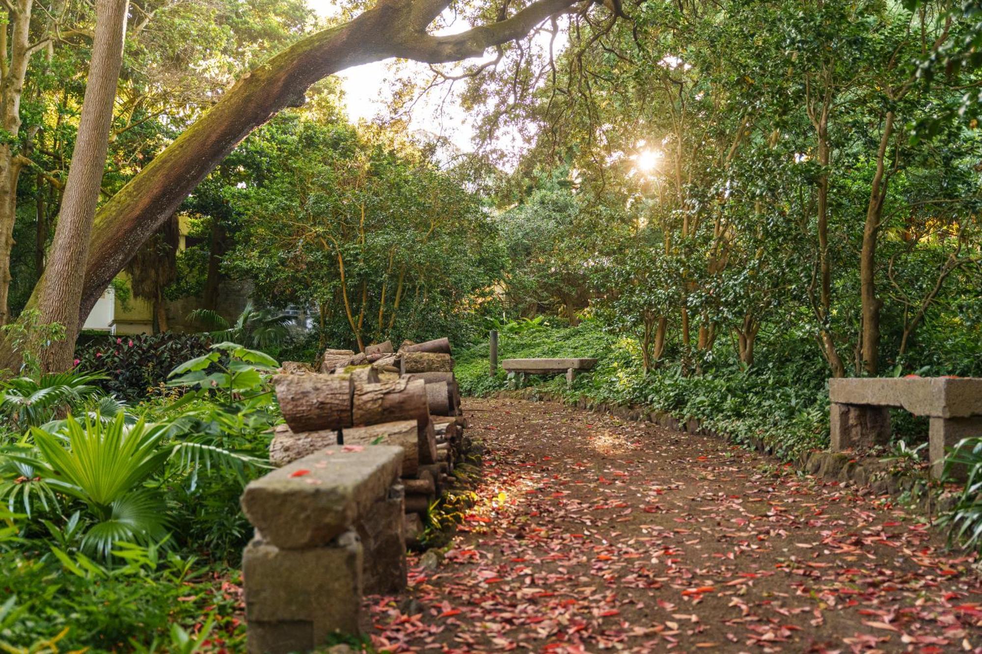 Ponta Delgada Solar Dos Cantos Botanic House & Garden מראה חיצוני תמונה